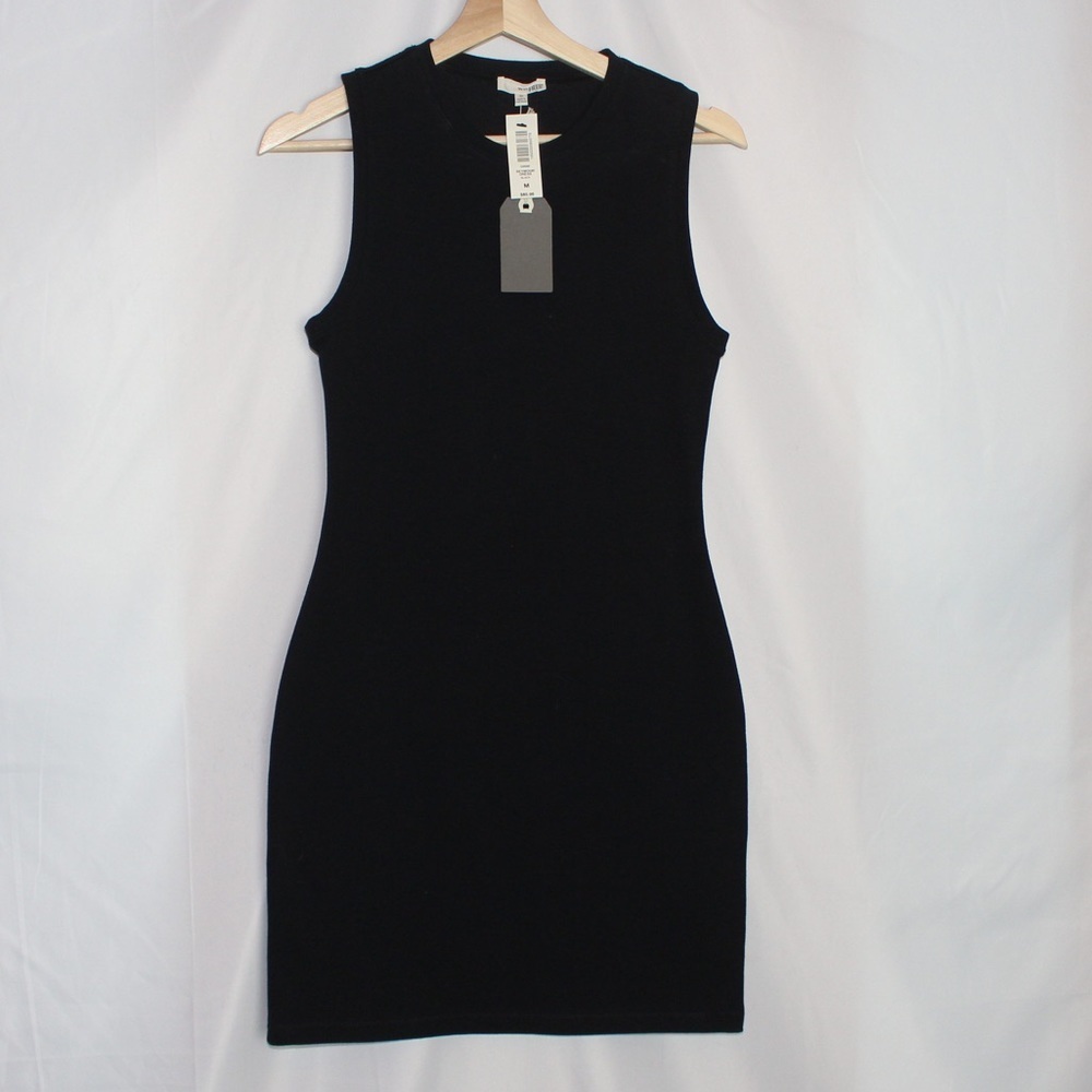 Nwt Wilfred Free by Aritzia Seymour Dress
